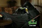 Grolsch Lager - Death in the Bedroom